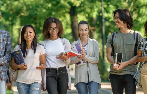 🚀 Zero to Developer: A Complete Beginner Roadmap for 2026